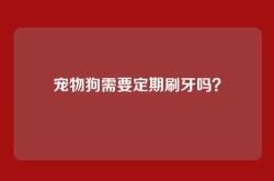 宠物狗需要定期刷牙吗？