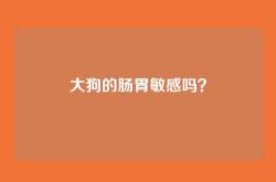 大狗的肠胃敏感吗？
