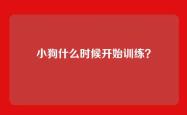 小狗什么时候开始训练？
