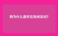 狗为什么喜欢在夜间活动？