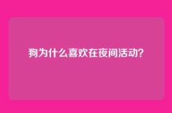 狗为什么喜欢在夜间活动？