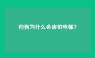 狗狗为什么会害怕电梯？