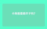 小狗需要磨爪子吗？