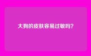 大狗的皮肤容易过敏吗？