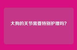 大狗的关节需要特别护理吗？