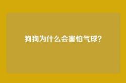 狗狗为什么会害怕气球？
