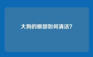 大狗的眼部如何清洁？