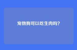 宠物狗可以吃生肉吗？