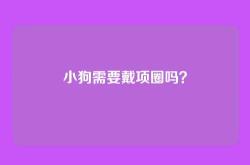 小狗需要戴项圈吗？
