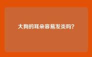 大狗的耳朵容易发炎吗？
