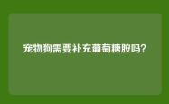 宠物狗需要补充葡萄糖胺吗？