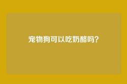 宠物狗可以吃奶酪吗？