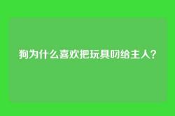 狗为什么喜欢把玩具叼给主人？