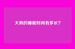 大狗的睡眠时间有多长？
