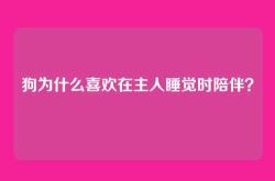 狗为什么喜欢在主人睡觉时陪伴？