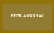 狗狗为什么会害怕牙医？
