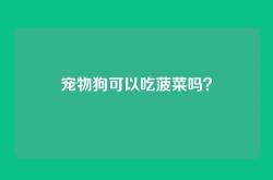 宠物狗可以吃菠菜吗？