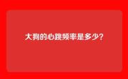 大狗的心跳频率是多少？