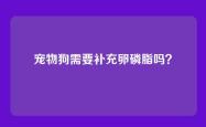宠物狗需要补充卵磷脂吗？