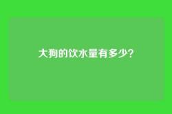 大狗的饮水量有多少？