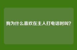 狗为什么喜欢在主人打电话时叫？