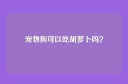 宠物狗可以吃胡萝卜吗？