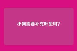 小狗需要补充叶酸吗？