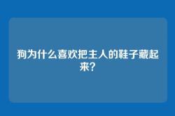 狗为什么喜欢把主人的鞋子藏起来？