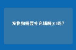 宠物狗需要补充辅酶Q10吗？