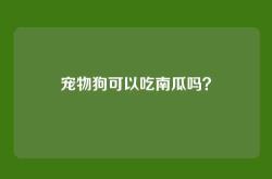 宠物狗可以吃南瓜吗？