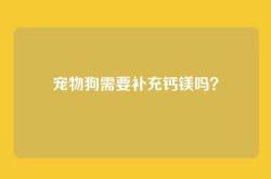 宠物狗需要补充钙镁吗？