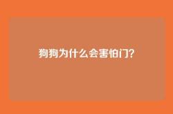 狗狗为什么会害怕门？