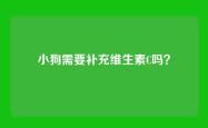 小狗需要补充维生素C吗？