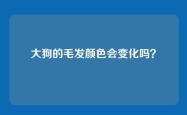 大狗的毛发颜色会变化吗？