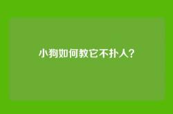 小狗如何教它不扑人？