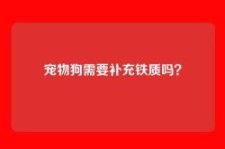宠物狗需要补充铁质吗？