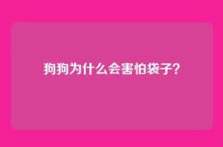 狗狗为什么会害怕袋子？