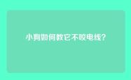 小狗如何教它不咬电线？