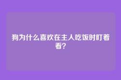 狗为什么喜欢在主人吃饭时盯着看？