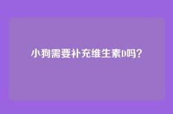 小狗需要补充维生素D吗？