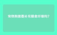宠物狗需要补充膳食纤维吗？