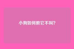 小狗如何教它不叫？