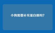 小狗需要补充蛋白质吗？