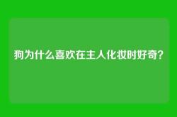狗为什么喜欢在主人化妆时好奇？