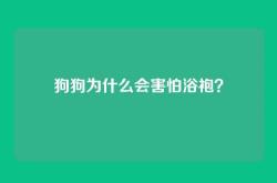 狗狗为什么会害怕浴袍？