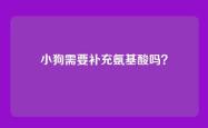 小狗需要补充氨基酸吗？