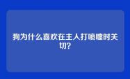 狗为什么喜欢在主人打喷嚏时关切？