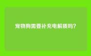 宠物狗需要补充电解质吗？