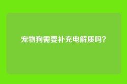 宠物狗需要补充电解质吗？