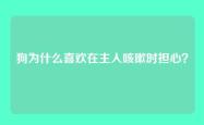 狗为什么喜欢在主人咳嗽时担心？